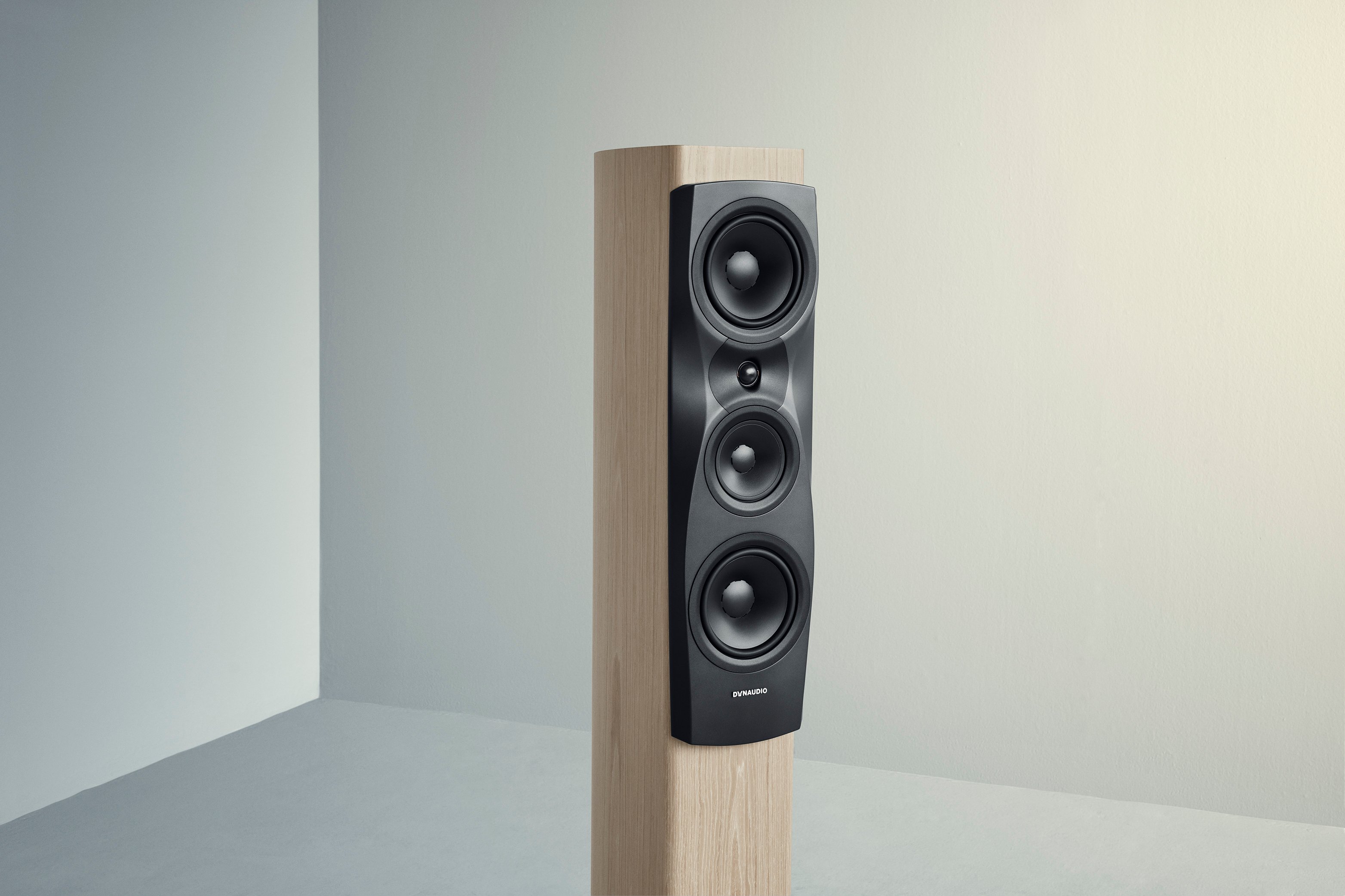 Dynaudio Confidence 30 - Blonde Wood 03